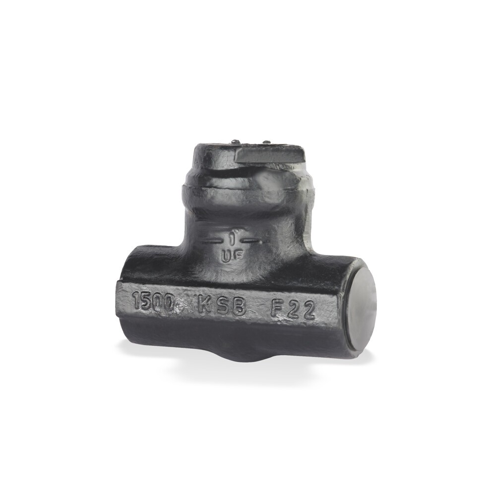 KSB Lift check valve SICCA 800-4500 PCF