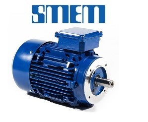 Smem 6SM-63A4-0.12KW-4P-400V-50HZ-B3 Electric Motor